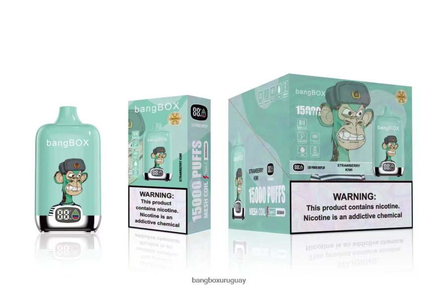 Bang Box Precio - Bang Box 15000 bocanadas 8FPX2439 kiwi fresa