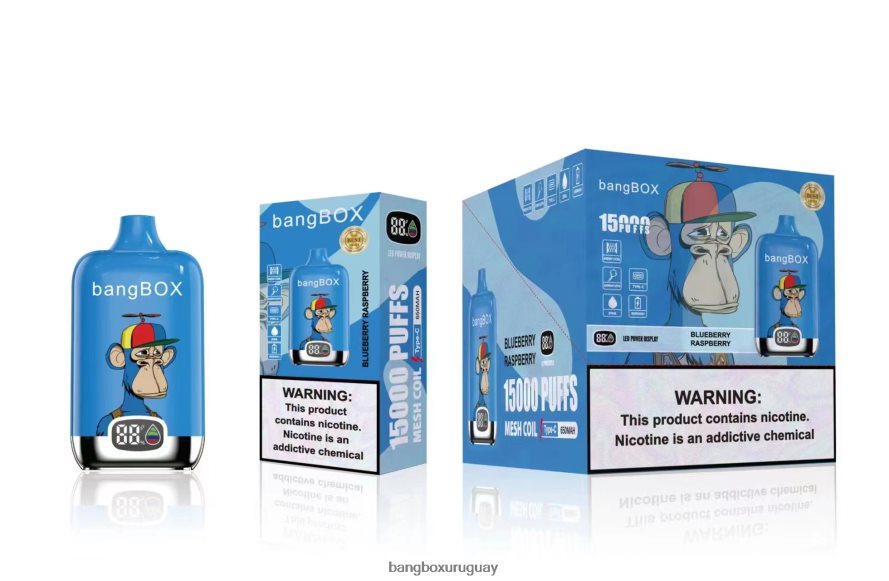 Bang Box Uruguay - Bang Box 15000 bocanadas 8FPX2446 frambuesa arándano