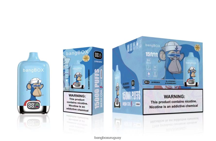 Bang Box Vape Price - Bang Box 15000 bocanadas 8FPX2438 fresa arándano