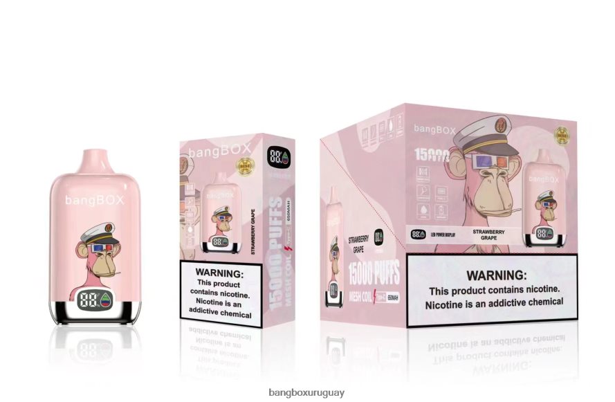 Bang Box Vape Price - Bang Box 15000 bocanadas 8FPX2444 uva fresa