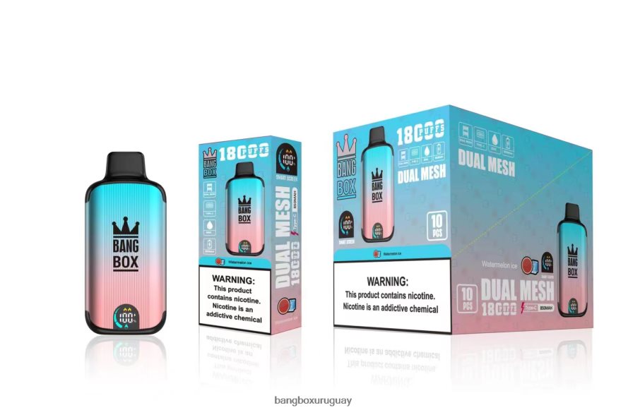 Bang Box 18000 - Bang Box 18000 bocanadas 8FPX2496 hielo de sandia