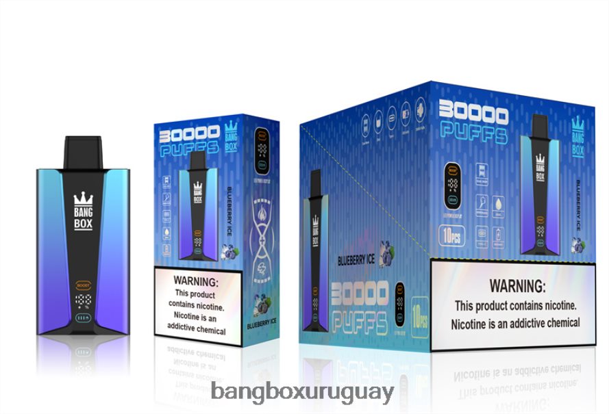 Bang Box Uruguay - Bang Box Pantalla inteligente de 30000 inhalaciones 8FPX2479 hielo de arándanos