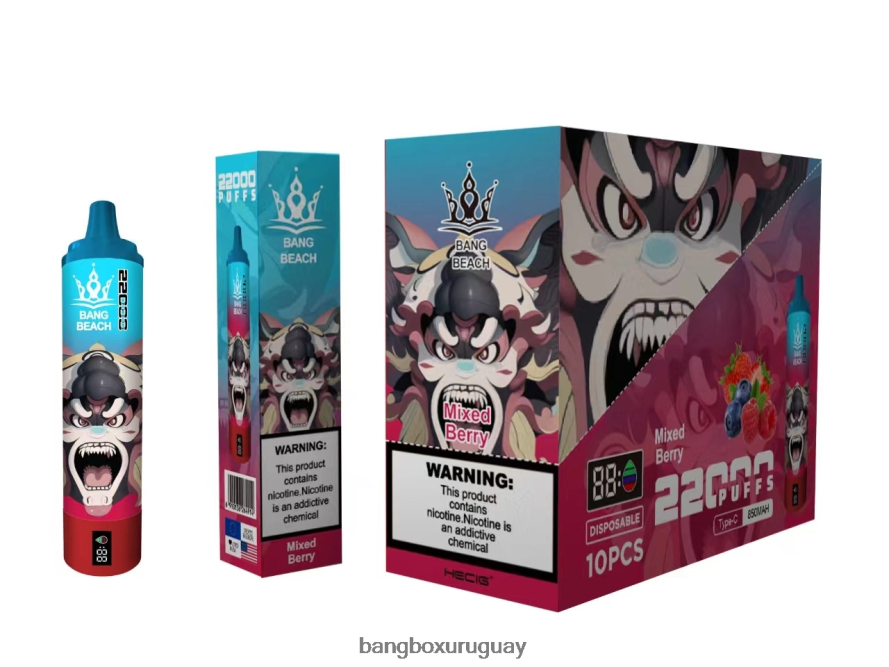 Bang Box Precio - Bang Beach Pantalla inteligente de 22000 inhalaciones. 8FPX2421 bayas mixtas
