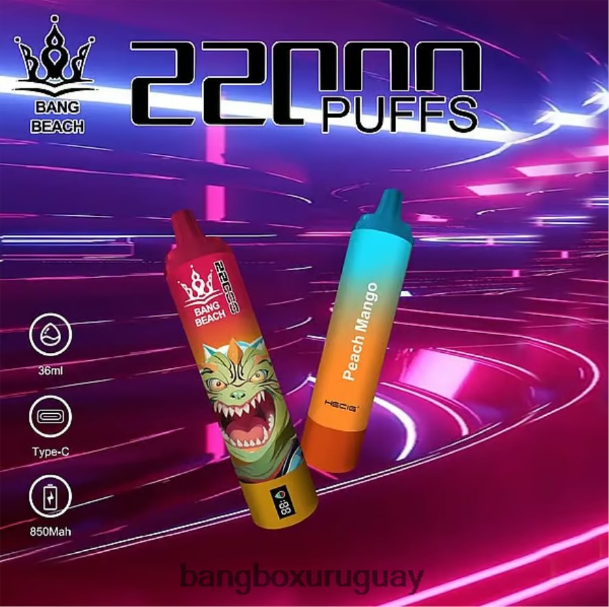 Bang Box Precio - Bang Beach Pantalla inteligente de 22000 inhalaciones. 8FPX2424 mango durazno